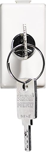 Matix Deviatore con Chiave 2P 10A - Honorern