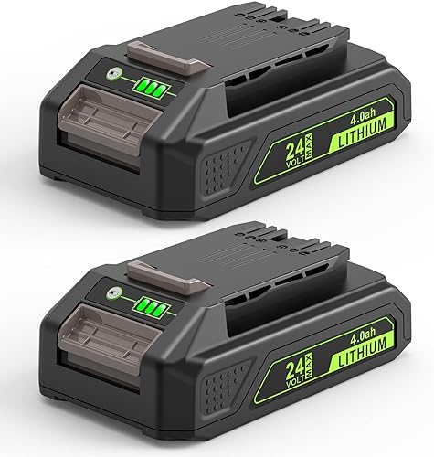 LabTEC 2 Packs GW2430 Batteria 24V 4000mAh Sostituzione per Greenworks 24V (NON per 48V) Batteria 29842 29852 29322 29862 2938202 26111700 CAM803 Cordless Power Tool con indicatore luminoso - Honorern