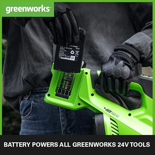 Greenworks Batteria 24V 2Ah agli Ioni di Litio e Caricabatterie Universale - per Attrezzi da Giardino ed Elettroutensili 24V, Carica in 60 Minuti, Batteria G24B2 e Caricabatterie - G24UCC - Honorern