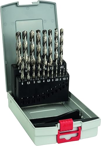 Bosch Professional Set di punte per metallo HSS-G ProBox (per acciaio, Ø 1-10 mm, accessori trapano avvitatore e a colonna) & Professional per legno Brad Point - Honorern