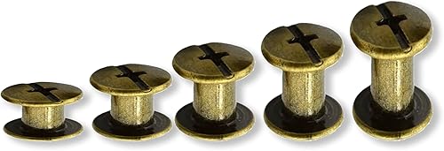 100 Set di Viti Chicago per Rilegatura, Kit di Rivetti a Vite 4/6/8/10/14 mm per Cintura in Pelle, Vite di Rilegatura Rivetti Chiusure a Bottone Rivetti Chicago per Cuoio Bottoni Pelle Fai Da Te - Honorern