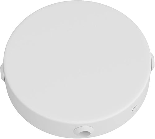 creative cables Kit Mini rosone cilindrico in Metallo a 4 Fori Laterali (Scatola di derivazione) - Bianco Opaco - Honorern