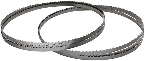 FMN-Home, 2pcs 2 Tape Lama for Sega 1450x 6,35 Millimetri X 0.35 Nastro Sega Strumento TPI Segheria 6 (Taglia : TPI 6) - Honorern