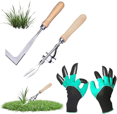 2 Pz Acciaio Inox Forchetta da Giardinaggio, Strumento di Diserbo in Acciaio Inossidabile, Estrattore Erbacce Manuale, Diserbatrice Manuale, Sarchiatrice Manuale per Scavare,Diserbare Il Giardino - Honorern