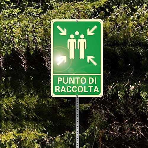 4 Pezzi Cartello Area Videosorvegliata, 18x6cm Cartello Videosorveglianza e allarme per casa Metallo Esterno Alluminio Spazzolato piccolo, Cartello Proprietà Privata (Compresi gli accessori) - Honorern