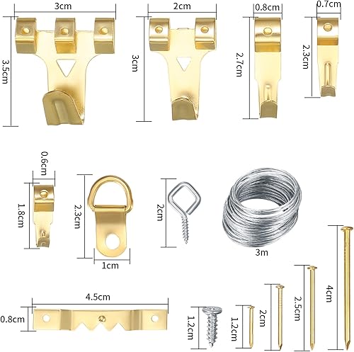 300 Pezzi Ganci per Appendere Quadri, Ganci in Metallo per Appendere Cornice per Foto Muro, con Chiodi, Occhi a Vite, Anelli a D, Supporti Appendiabiti Pesanti Kit - Honorern