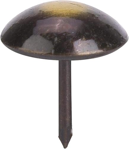 100Pcs Chiodo per Tappezzeria, Chiodi per Tappezzeria Chiodi per Mobili per Mobili Chiodi Decorativi Perni per Tappezzeria Chiodi per Tappezzeria Chiodi per Mobili Antichi(19 * 23mm) - Honorern