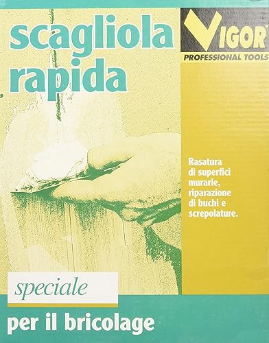 SCAGLIOLA RAPIDA VIGOR IN SCATOLA - Honorern
