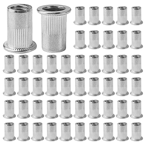 100 Pezzi Rivetti Filettati M8, Acciaio Inossidabile, con Corpo Scanalato Inserti Filettati, 10 mm Inserti Rivetti Ciechi, Adatti per Pannelli in Metallo e Plastica (argento) - Honorern