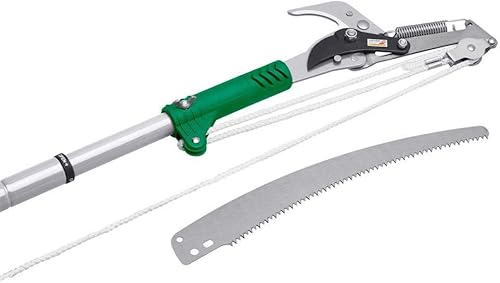 Svettatoio con Segaccio e Manico Telescopico, Verde, 4x22x169 cm - Honorern