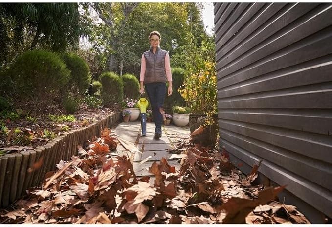 Ryobi Ventilatore a batteria 18 V con batteria da 4 Ah, colore: verde e nero - Honorern