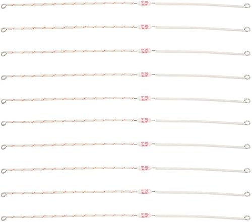 Fusibile Termico 10 Pezzi, Fusibile Ceramico 250 V 20 A Interruzioni Termiche per Elettrodomestici(90mm-240 ℃) - Honorern