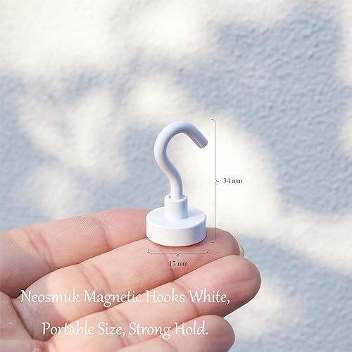 Neosmuk Ganci magnetici, 10 kg + ganci magnetici extra forti per barbecue, magneti al neodimio, supporto magnetico, per officina (bianco, 10 pezzi) - Honorern
