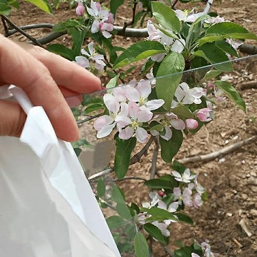 Lastre di Copertura In Policarbonato,Fogli In Acrilico Trasparente,Pannelli di Copertura Tetto Antipioggia,per Esterno Pannelli di Ricambio,Facile Tagliare,Larghezza X Lunghezza (80cm x 100cm) - Honorern