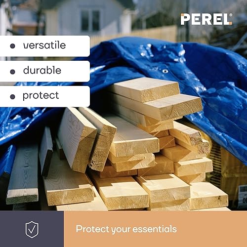 Perel Telone, robusto, 12 occhielli, angoli rinforzati, rettangolare, blu/verde, 110 g/m², 2 x 4 m - Honorern