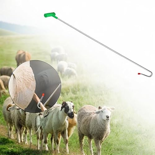 Gancio di pecore da pecora portatile per il bestiame agricola, 48 Cm - Honorern