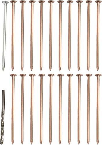 Assassina alberi e ceppi, con chiodi in rame da 10,2 cm, strumento per la gestione delle radici, chiodi in rame, per uccidere alberi, ceppi, radici, per esigenze paesaggistiche (25 pezzi) - Honorern