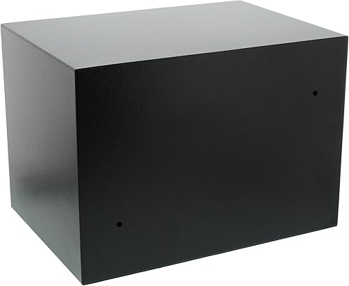 Burg-Wächter FAVOR S5 E Cassaforte a Mobile con Serratura a Combinazione Elettronica, Nero, HxBxT: 250 x 350 x 250 mm - Honorern