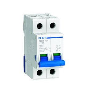 CHINT 80203 NH4-125/32-2P INTERRUTTORE SEZIONATORE 2P 32A 398040 - Honorern