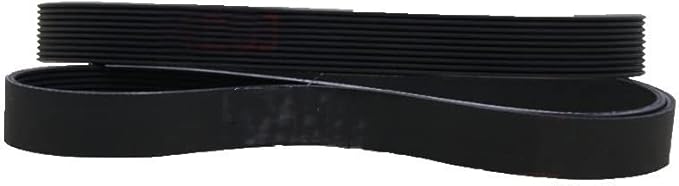 4PJ443 5PJ443 6PJ443 7PJ443 8PJ443 9PJ443 Cinghia di Trasmissione Cinghia A Coste per Lavatrice Tapis Roulant Motore Fitness Asciugatrice (Taglia : 7PJ443) - Honorern