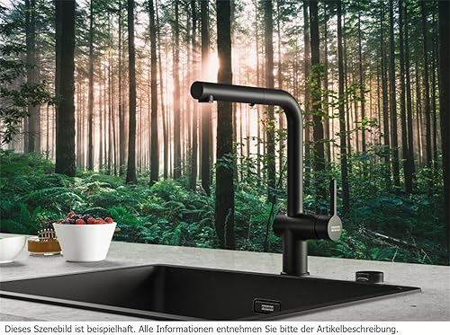 FRANKE 115.0653.385, Rubinetto per lavello da cucina Active L pull out spray, Grigio pietra - Honorern