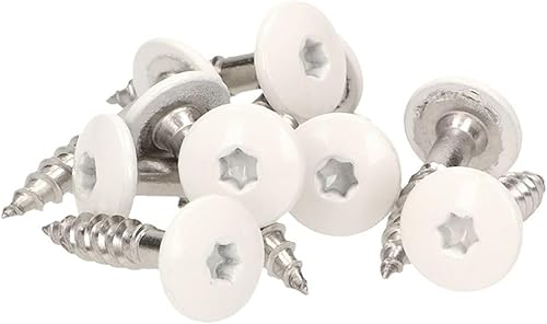 Viti per facciate in acciaio inox V2A/V4a, Bianco - Honorern