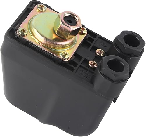 Pressostato della Pompa Interruttore Automatico della Pompa 'acqua, Controller Display della Pressione di Controllo per Pompe Autoadescanti, Giardino, a Getto - Honorern