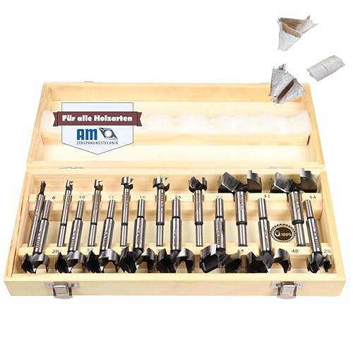 Forstner - Set di punte professionali per legno, diametro 6 – 54 mm, 16 pezzi, punte per trapano per legno - Honorern