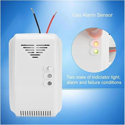 Rilevatore di gas 12-24 V CC, propano, butano, GPL, sistema di allarme di sicurezza for camper e case mobili,Sensori Precisi - Honorern