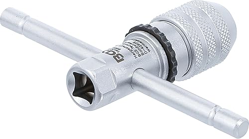 Gira machos - Honorern