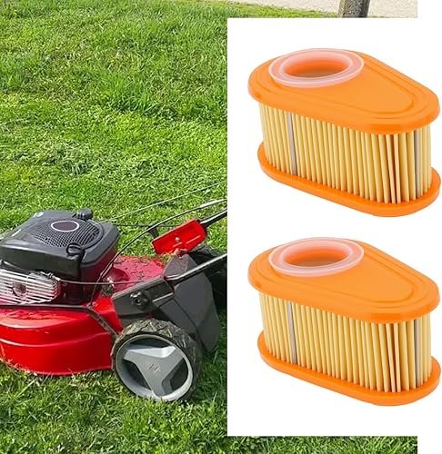 SG Store 2 filtri dell'aria di ricambio per tosaerba compatibili con Briggs & Stratton 005419 96254 795066 792038 790388 - Honorern