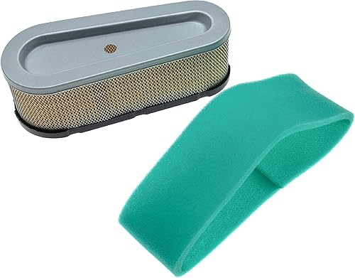 vhbw set di filtri (1x filtro di carta, 1x filtro in spugna) sostituisce Briggs & Stratton 272477S, 493910, 691667 per trattorino tagliaerba - Honorern