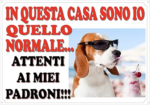 Cartello Targa 'ATTENTI AL CANE' da Cancello UMORISTICA (ATTENTI AI PADRONI) cm 30 x 21,5 - Honorern