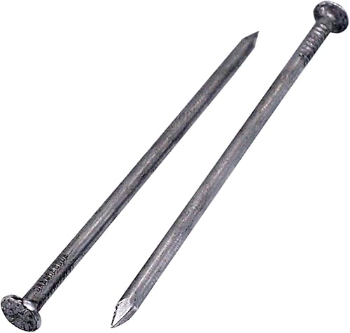 Confezione da 150 chiodi per edilizia in acciaio, 2,5 x 50 mm, testa rotonda piatta, multiuso, comuni, filo luminoso, lavorazione del legno (150, 2,5 x 50 mm) - Honorern