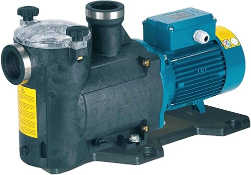 ELETTROPOMPA PER PISCINA MPCM 41 HP 1,5 VOLT 220 CALPEDA - Honorern