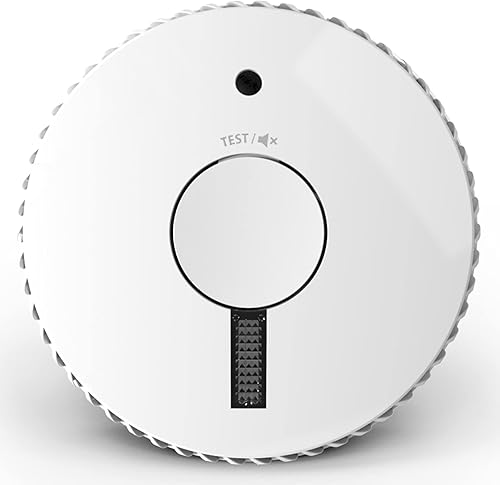 Rilevatore di fumo ottico con luce di fuga e batterie sostituibili a 3 anni, FA6111-INT ST-623E - Honorern