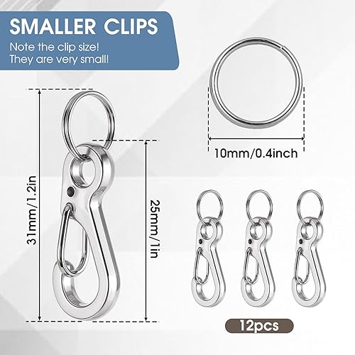 Set di 12 mini moschettoni, piccoli moschettoni, portachiavi con molla in metallo, set da 2,5 cm, moschettone rimovibile, portachiavi, anelli per zaino, guinzaglio per cani, pesca - Honorern