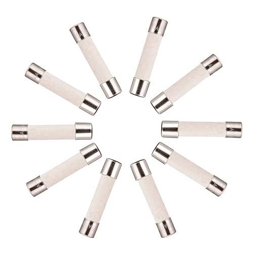 T15A250V 6x30 mm 15 A 250 V Fusibili in ceramica a lenta combustione 15 amp 250 Volt 0,24 x 1,18 pollici Fusibili a ritardo per tubo in ceramica (confezione da 20 pezzi) - Honorern