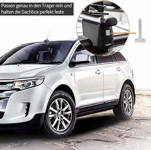 Viti Zigrinate M6 Inox Viti Testa Zigrinata a Forma Filettatura Phillips Viti Cilindro Morsetto Scanalatura T Viti Autofilettanti Testa Tappo Bullone a T Scanalatura Strumento Fastener Filetto 6 Pezzi - Honorern