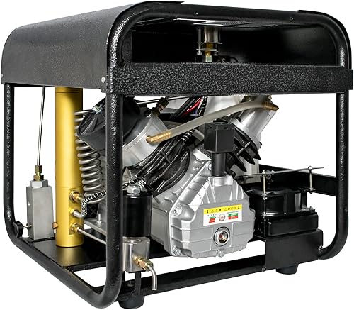 Compressore d'aria TUXING 4500PSI PCP, sistema di raffreddamento ad acqua integrato e sistema di filtraggio, funzione di spurgo automatico, per fucili ad aria compressa PCP subacquei 220V - Honorern