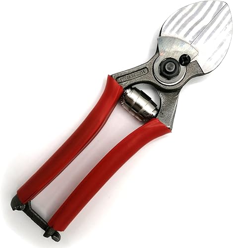 FORBICE 2 TAGLI 21 CM DOPPIO TAGLIO RAMI POTA POTATURA ORTO PROFESSIONALE - Honorern