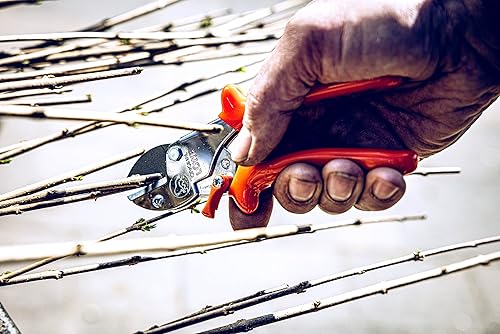 Löwe 5104 - Piccole Forbici a Incudine - Honorern