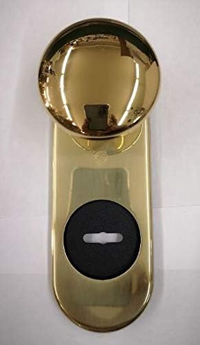 KIT RIVA SECUREMME PLACCA+POMOLO DIAMETRO 65 mm. IN OTTONE LUCIDO SINGOLA PER PORTA BLINDATA Q8 FORO DOPPIA MAPPA PZ 1 - Honorern