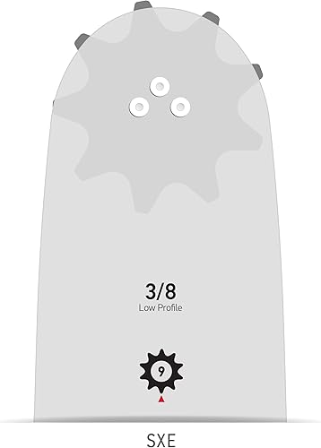 Oregon, Barra di guida per motosega Pro-AM 30 cm, 3/8', 1,3 mm, 120SXEA074 - Honorern