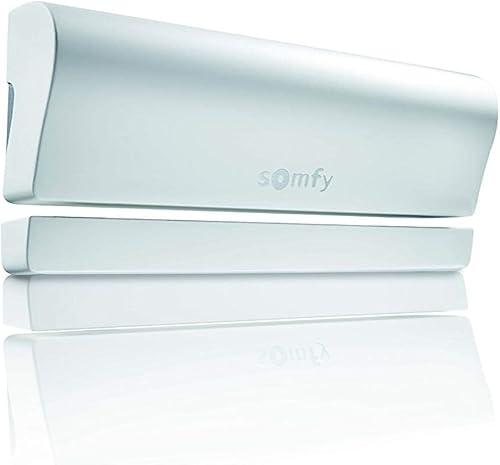 Somfy Sensore di Apertura per Tahoma, Bianco/Grigio - Honorern