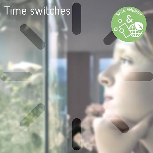 Theben TR635top - Temporizzatore elettronico a impulsi, con possibilità di programmazione random, 16 A - Honorern