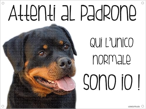 ROTTWEILER Attenti al padrone qui l'unico normale sono io! CANE CARTELLO TARGA IN METALLO (20X30) - Honorern