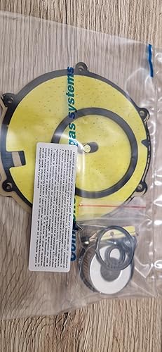 KIT REVISIONE RIDUTTORE GPL LI10 LANDI RENZO POLMONE LI10 - Honorern