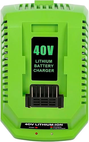 Batteria di ricambio 40 V 2 A compatibile con Greenworks 40 V batteria agli ioni di litio 29482 29962 29472 290139 299302 BAF702 L-300 BAF704 BAF705 40 V G-MAX Power Tools 29252 20202 262 - Honorern