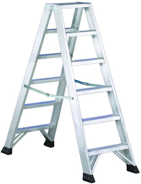 Scala Alluminio 5 gradini Professionale Due Tronchi di Salita Robusta con Gradini e Piedini Antisdrucciolo - Honorern